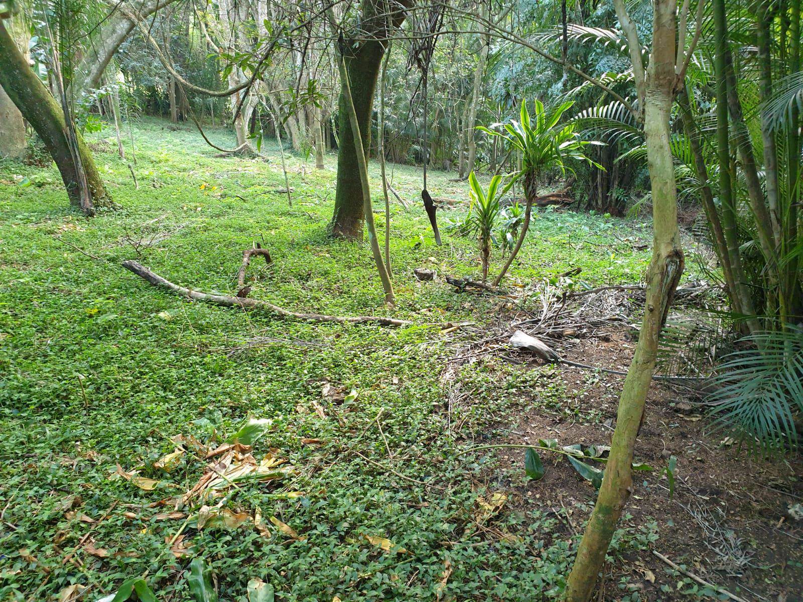 2040 m² Land available in Kloof photo number 2