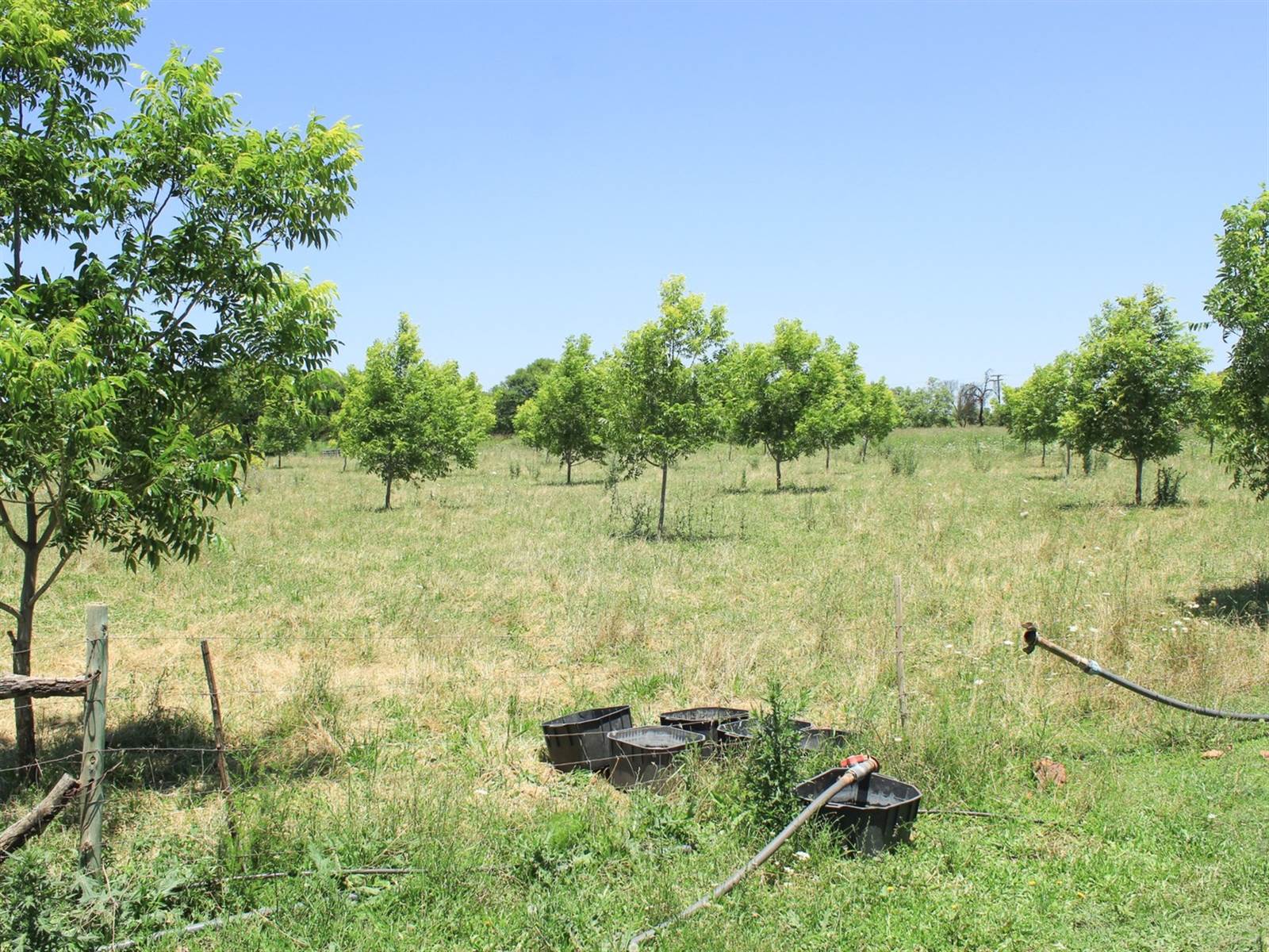 18 ha Farm in Potchefstroom Central photo number 21