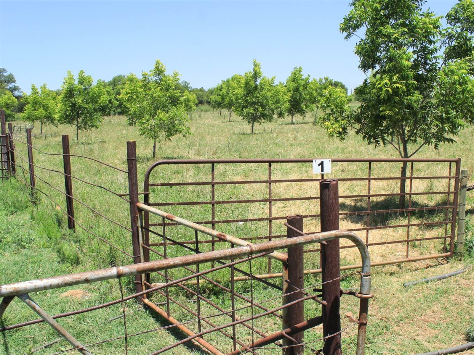 18 ha Farm in Potchefstroom Central photo number 18