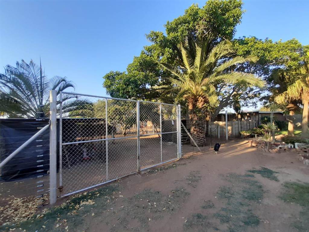 4 ha Smallholding in Polokwane Central photo number 16