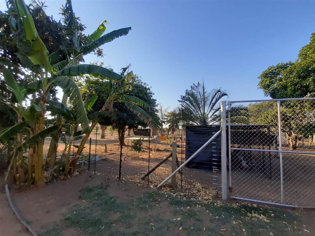 4 ha Smallholding in Polokwane Central photo number 15