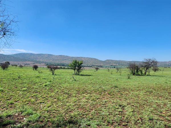 24.2 ha Farm in Rietfontein