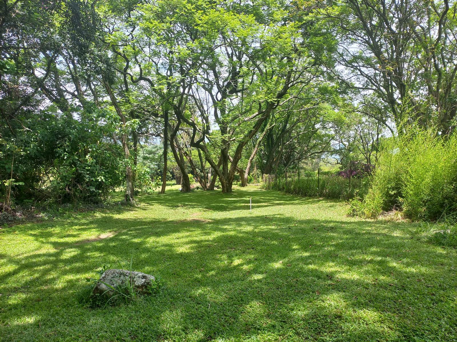 2.9 ha Smallholding in White River AH photo number 26
