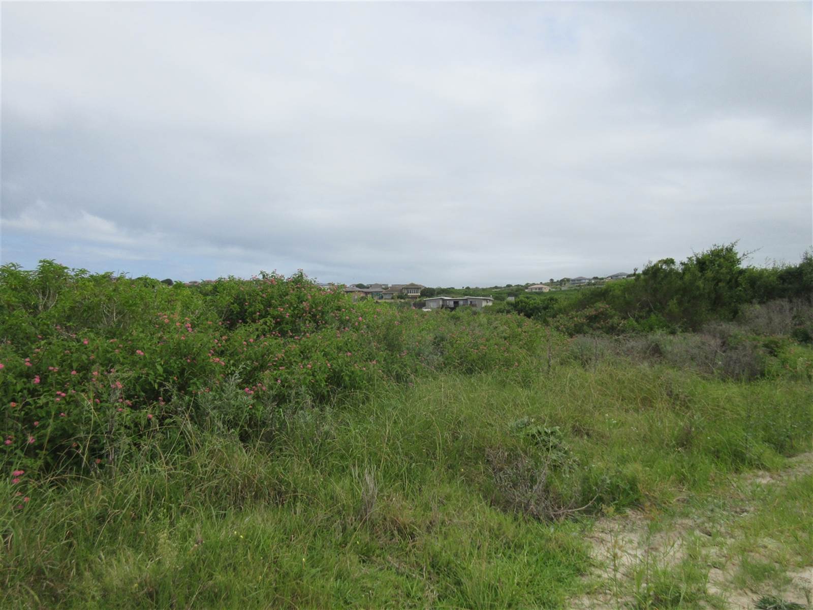 1247 m² Land available in Port Alfred photo number 8