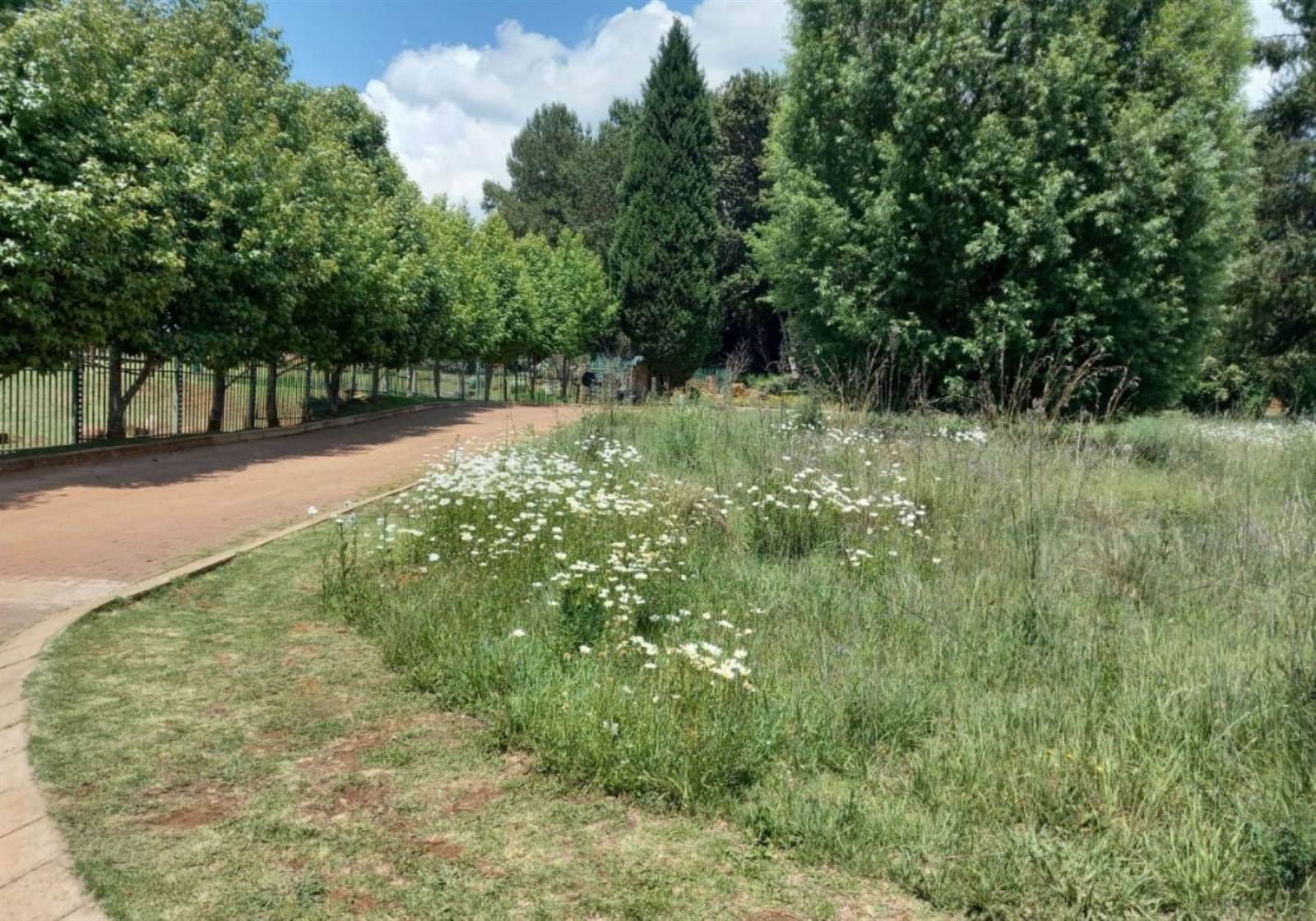 617 m² Land available in Dullstroom photo number 3