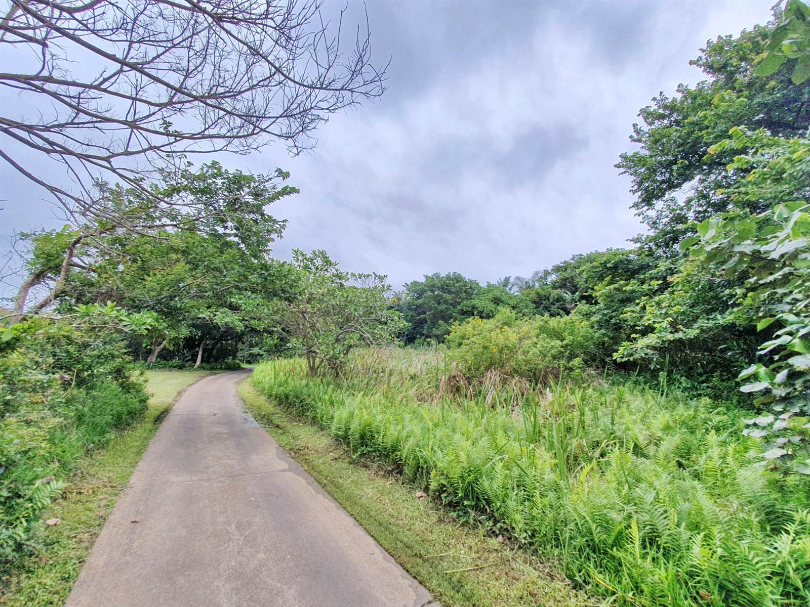1964 m² Land available in Zimbali Estate photo number 1