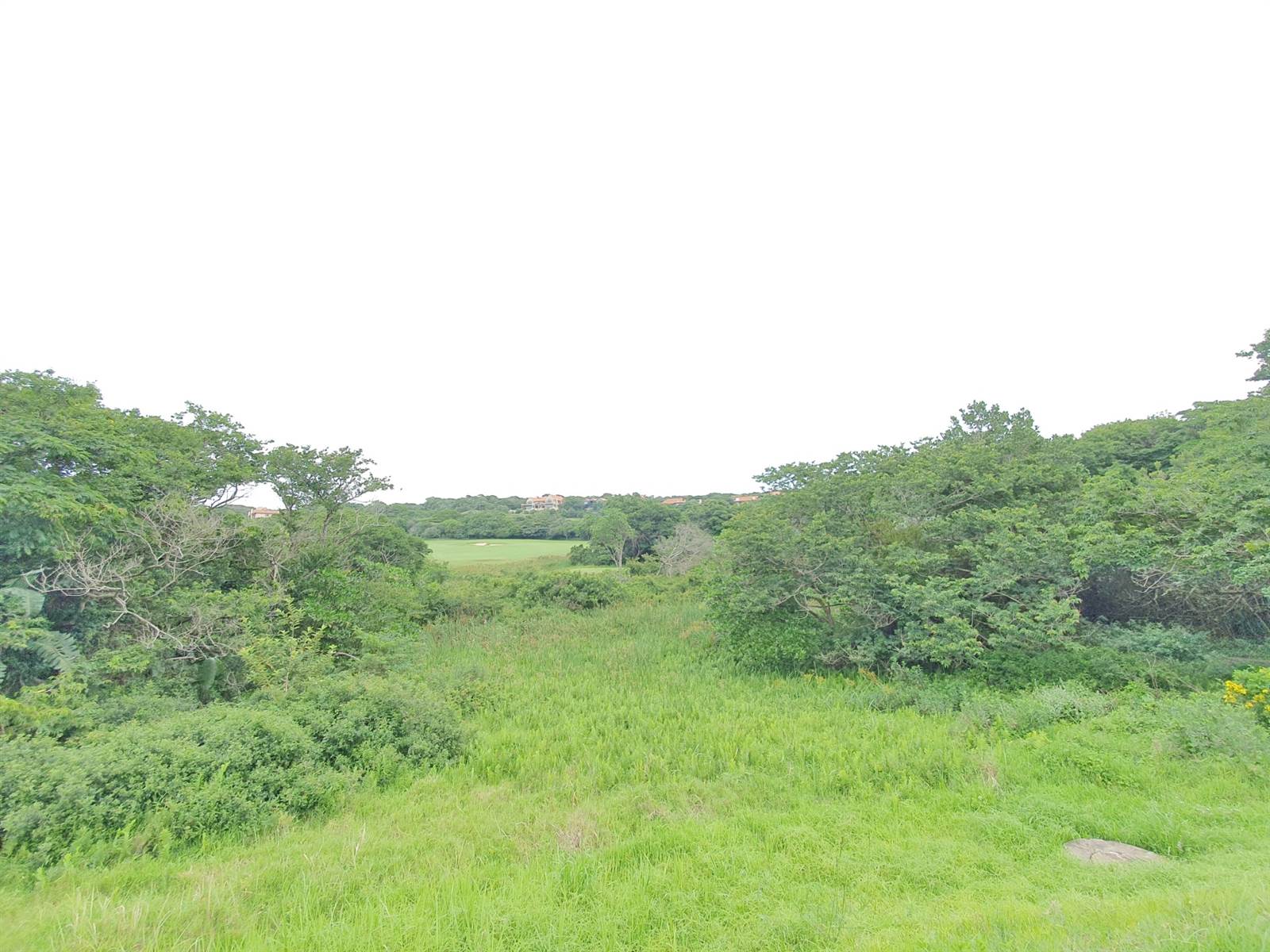 1964 m² Land available in Zimbali Estate photo number 4