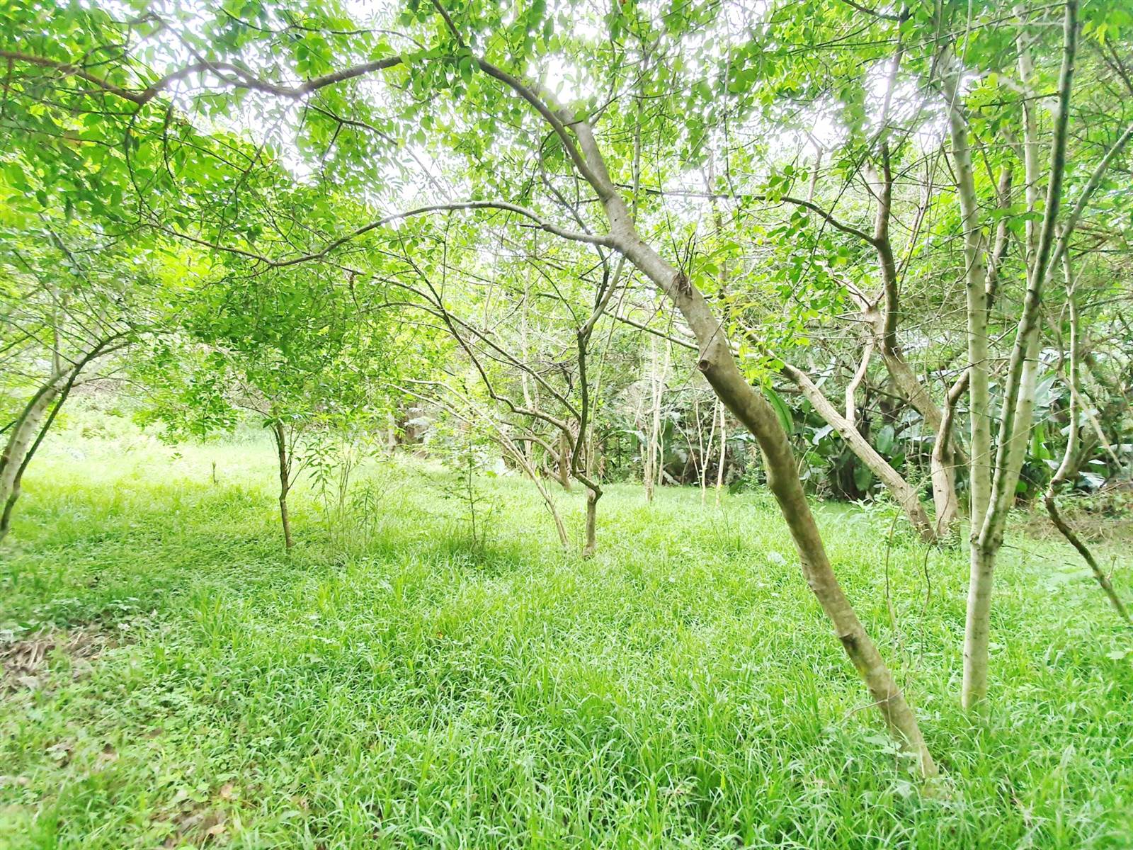 1964 m² Land available in Zimbali Estate photo number 14