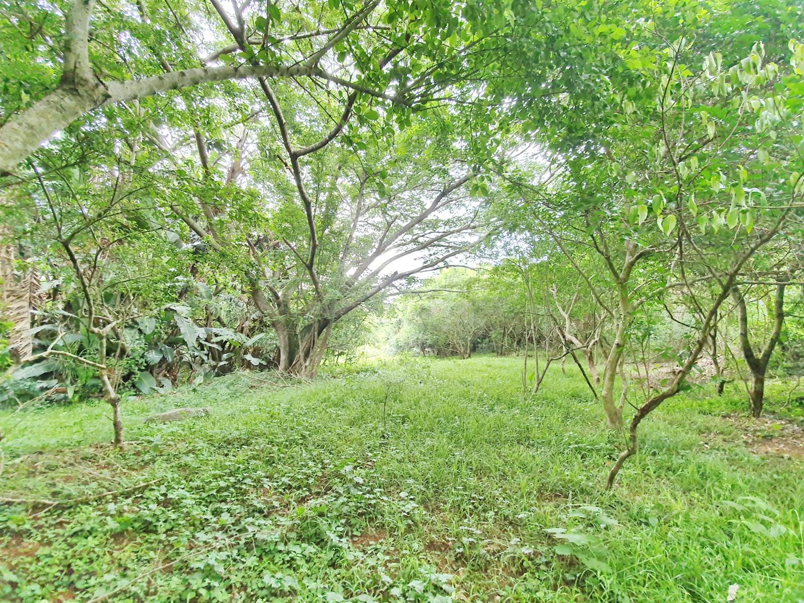 1964 m² Land available in Zimbali Estate photo number 11