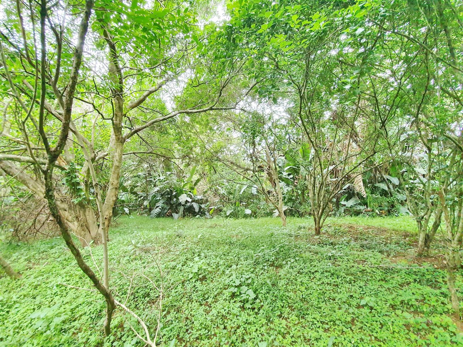 1964 m² Land available in Zimbali Estate photo number 13