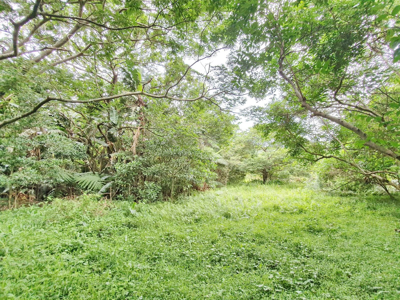 1964 m² Land available in Zimbali Estate photo number 6