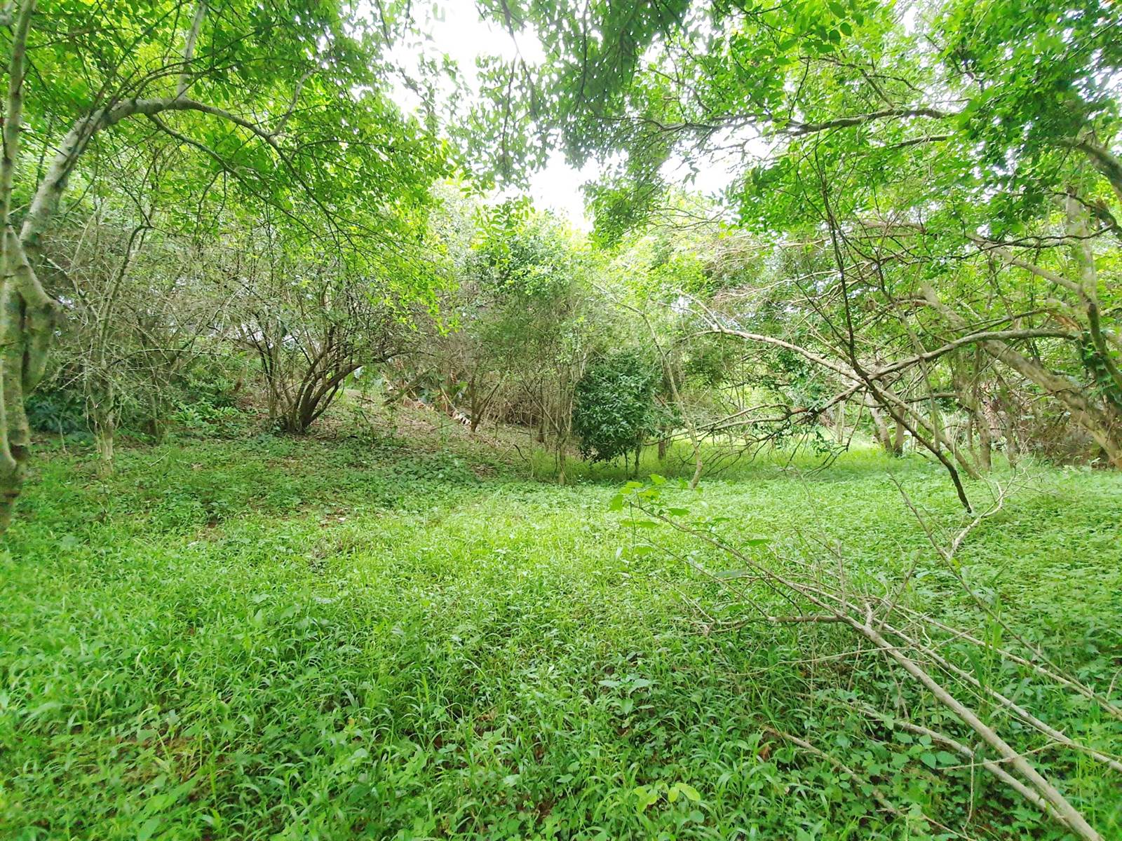 1964 m² Land available in Zimbali Estate photo number 8