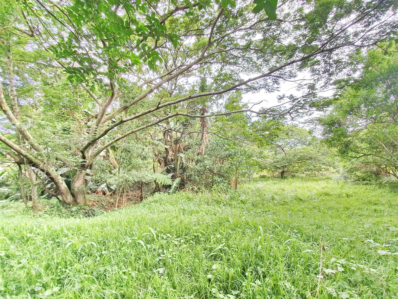 1964 m² Land available in Zimbali Estate photo number 9