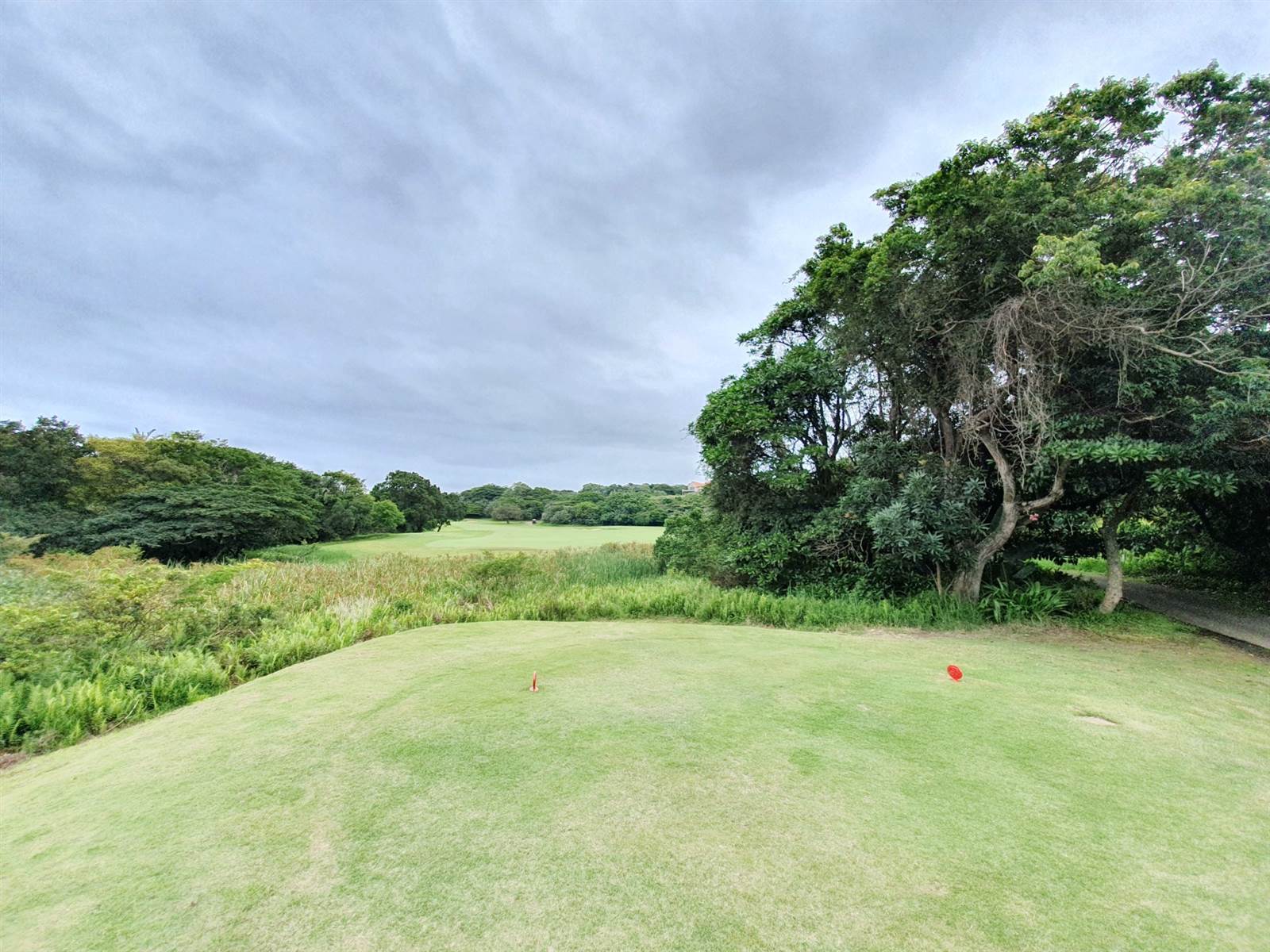 1964 m² Land available in Zimbali Estate photo number 12