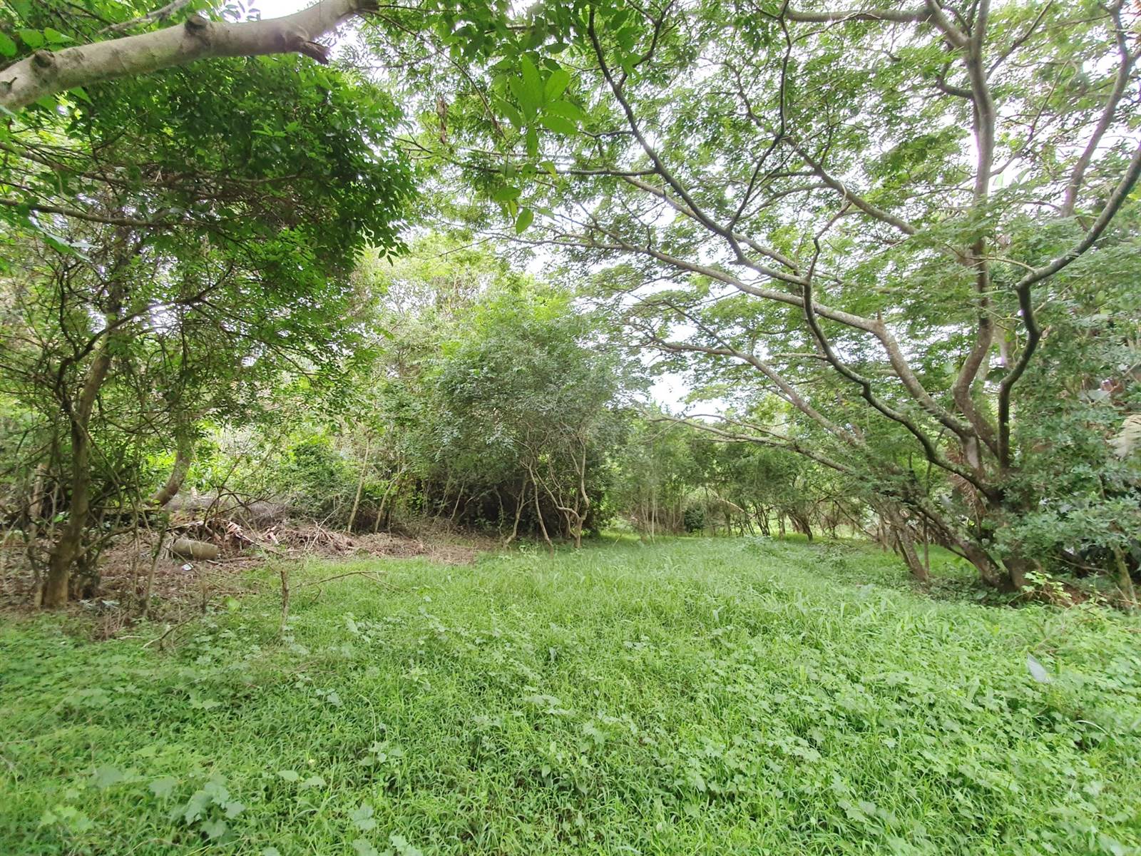 1964 m² Land available in Zimbali Estate photo number 5