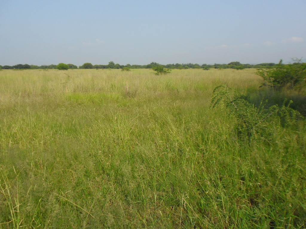 133 ha Land available in Brits photo number 1