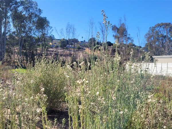 953 m² Land 953 m² Land