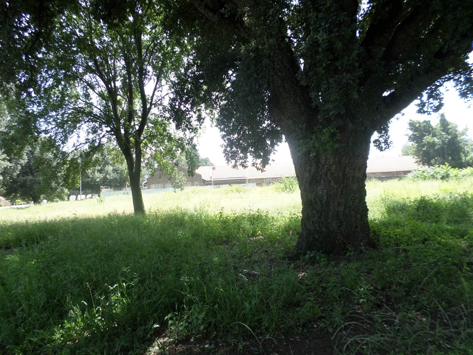 2216 m² Land available in Three Rivers photo number 10