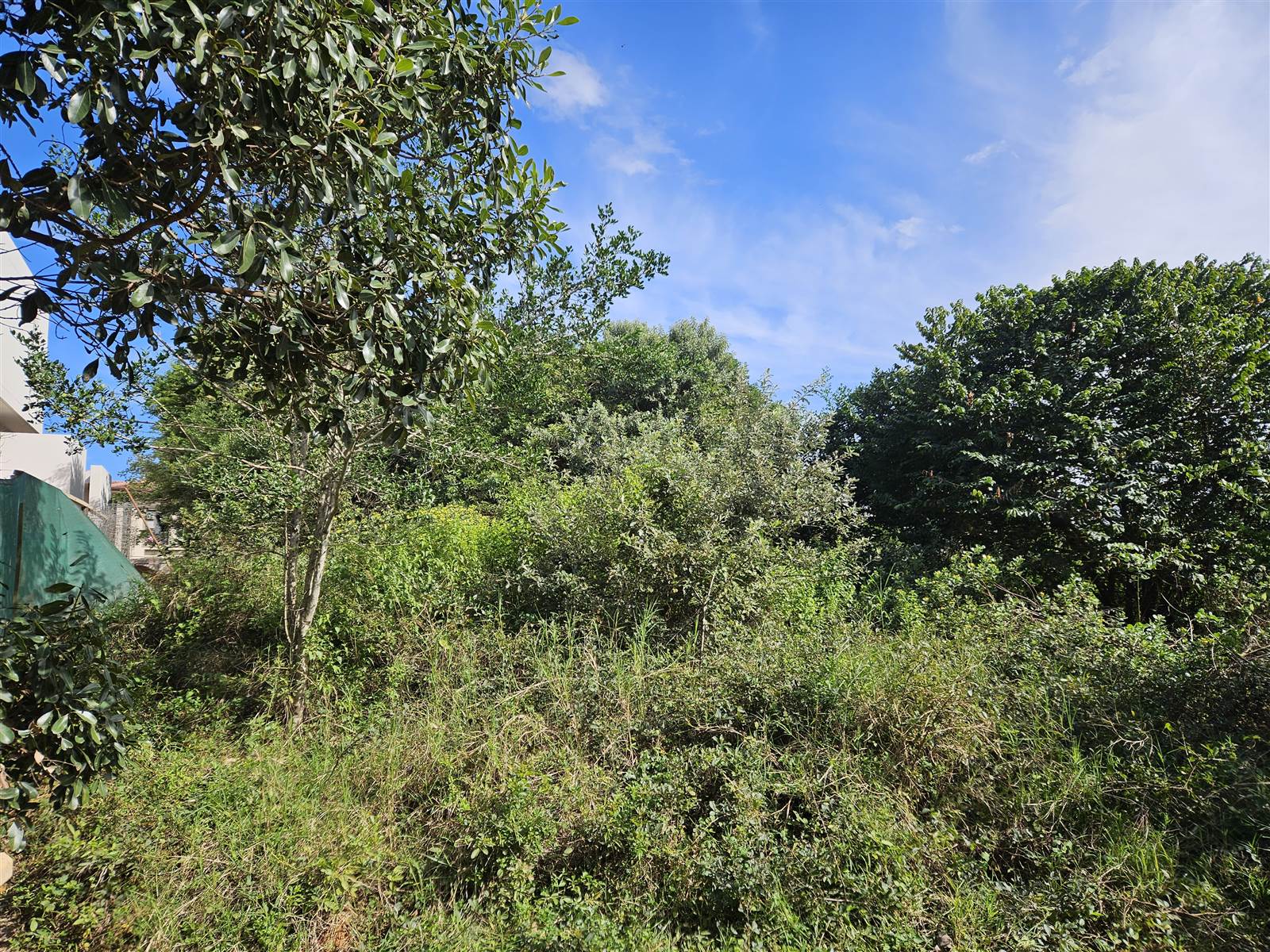 1160 m² Land available in Hawaan Forest Estate photo number 4
