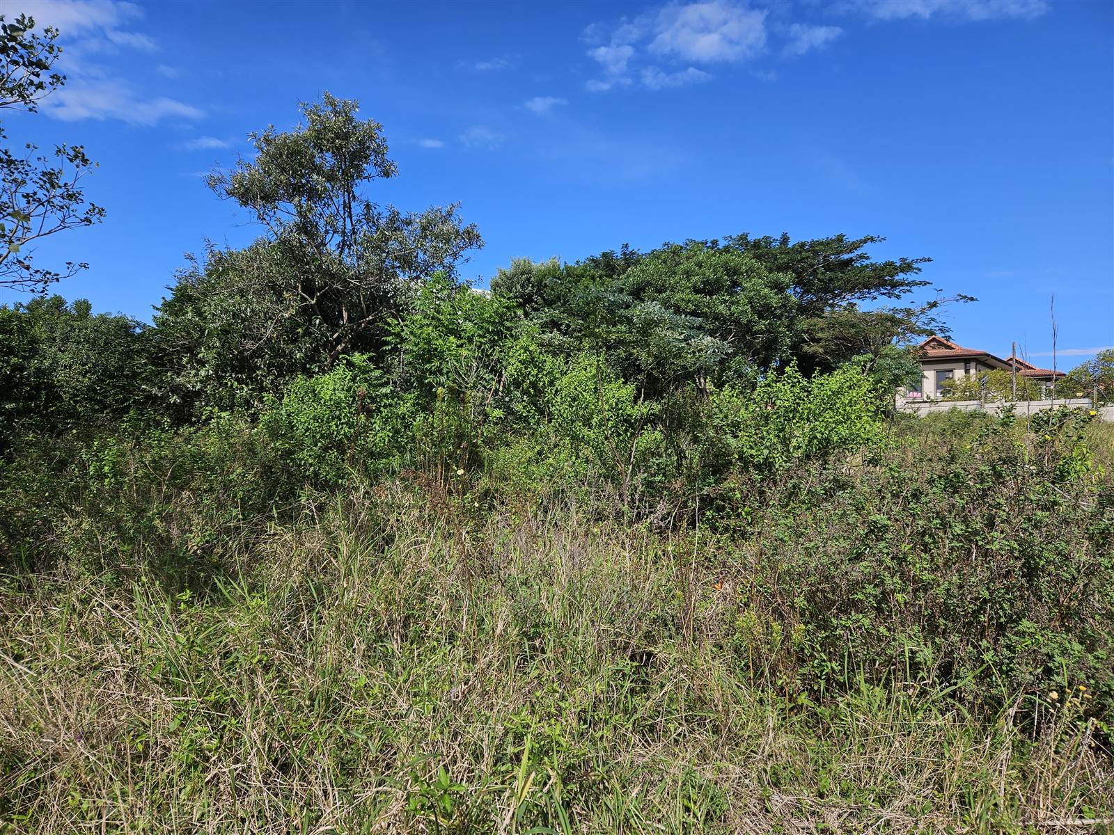 1160 m² Land available in Hawaan Forest Estate photo number 5