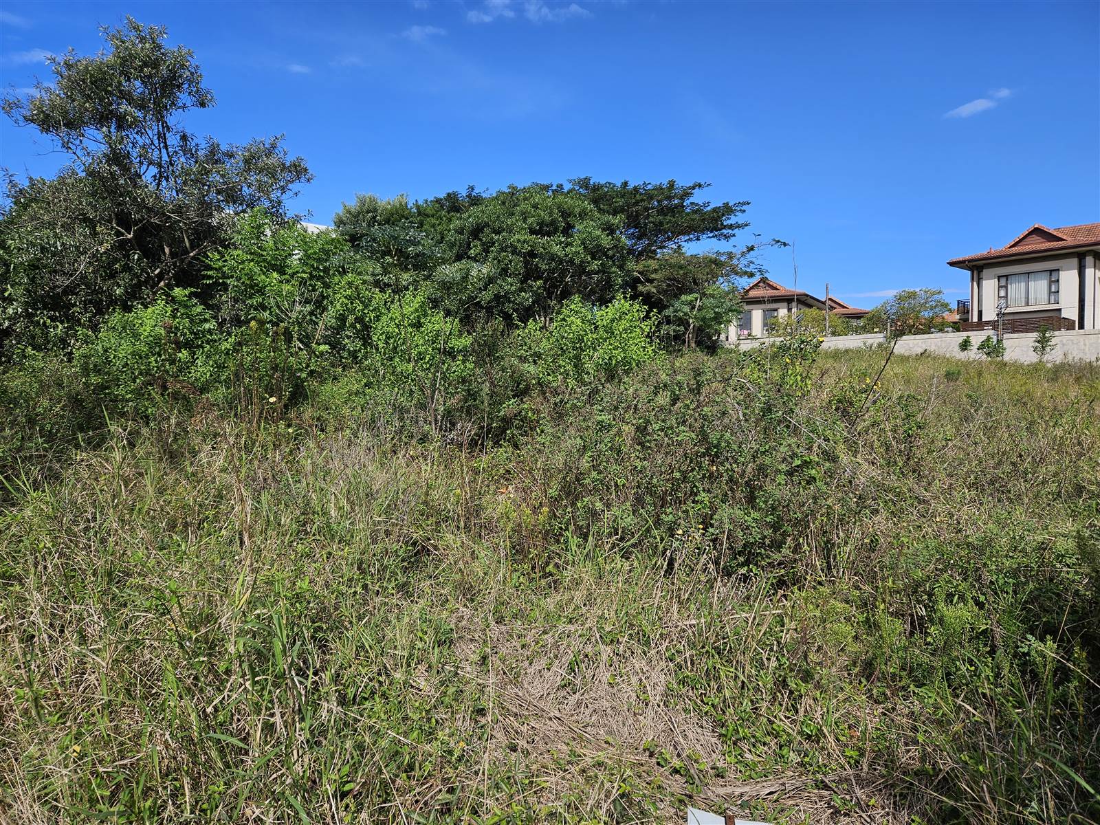 1160 m² Land available in Hawaan Forest Estate photo number 6