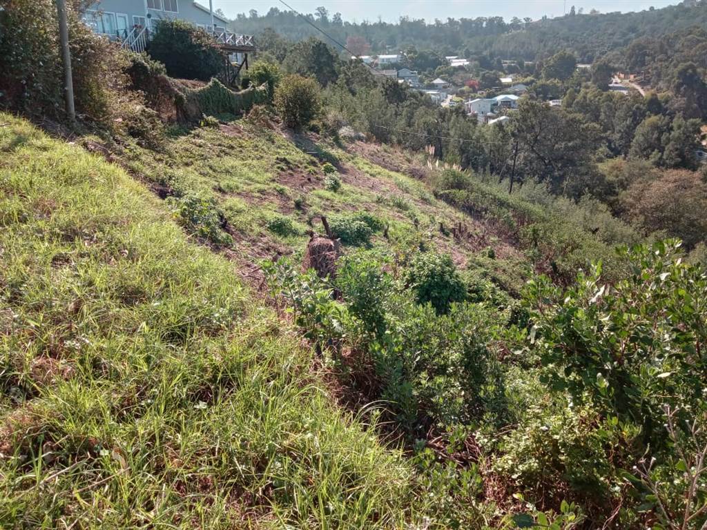 1874 m² Land available in Knysna Central photo number 8