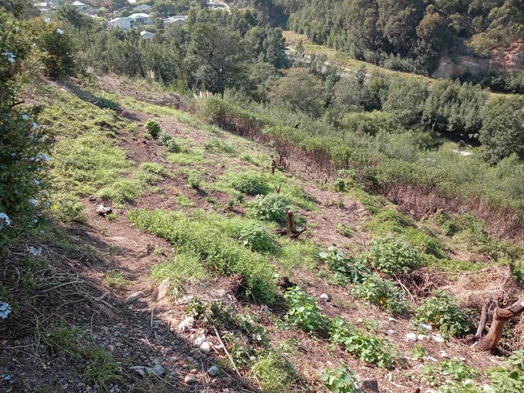 1874 m² Land available in Knysna Central photo number 4