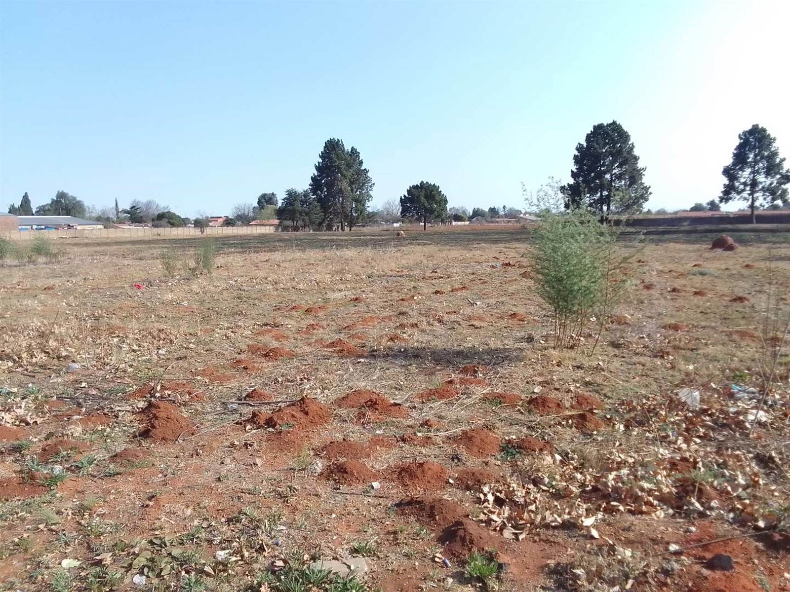 1.8 ha Land available in Kookrus photo number 2