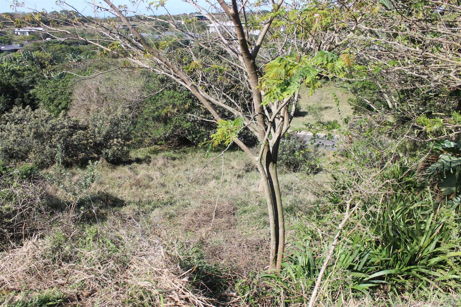 1699 m² Land available in Simbithi Estate photo number 4
