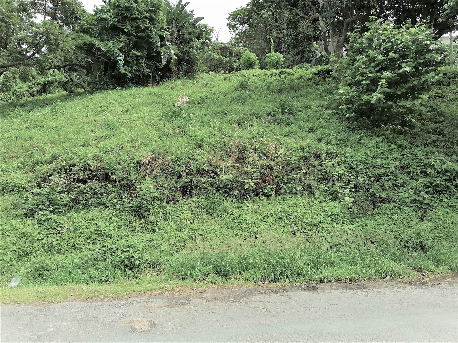1034 m² Land available in Pennington photo number 3