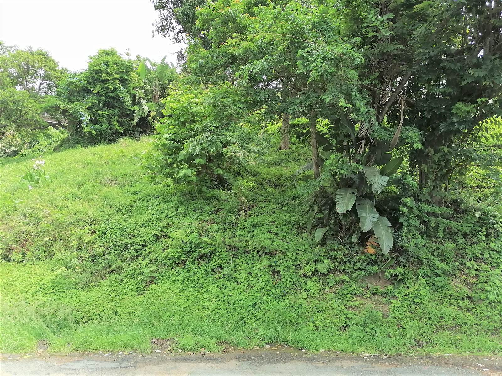 1034 m² Land available in Pennington photo number 5