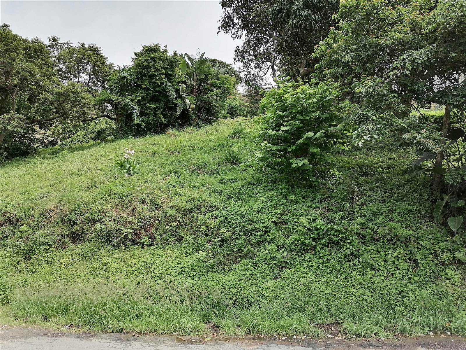 1034 m² Land available in Pennington photo number 7