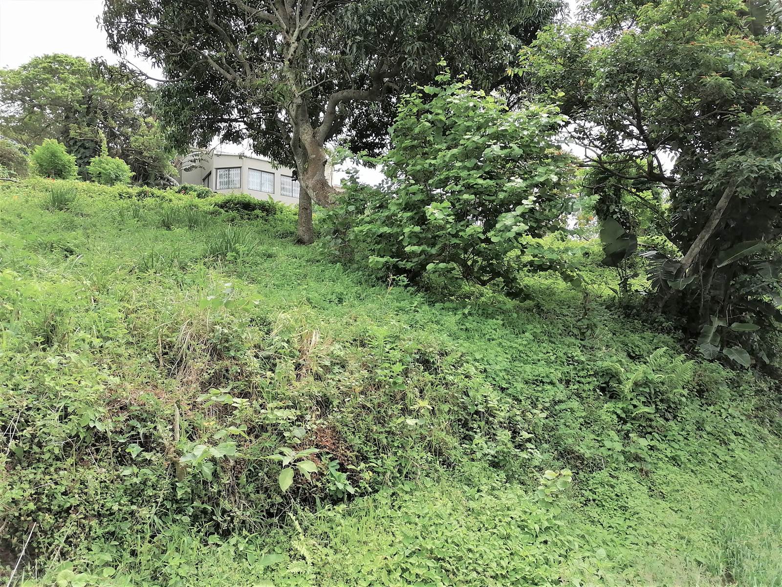 1034 m² Land available in Pennington photo number 4