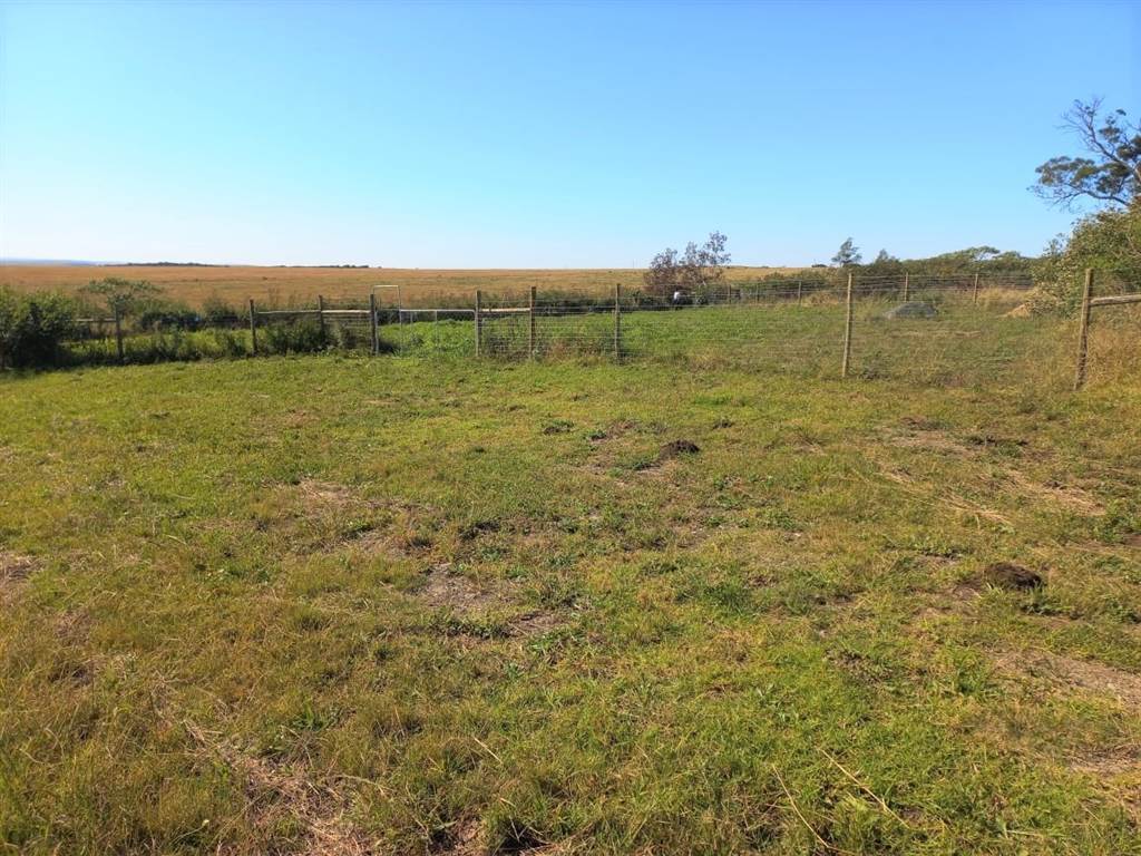 1311 m² Land available in Komga photo number 1