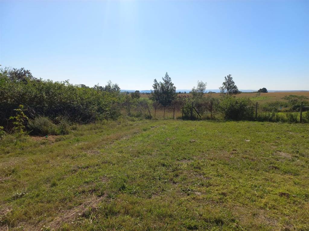 1311 m² Land available in Komga photo number 2