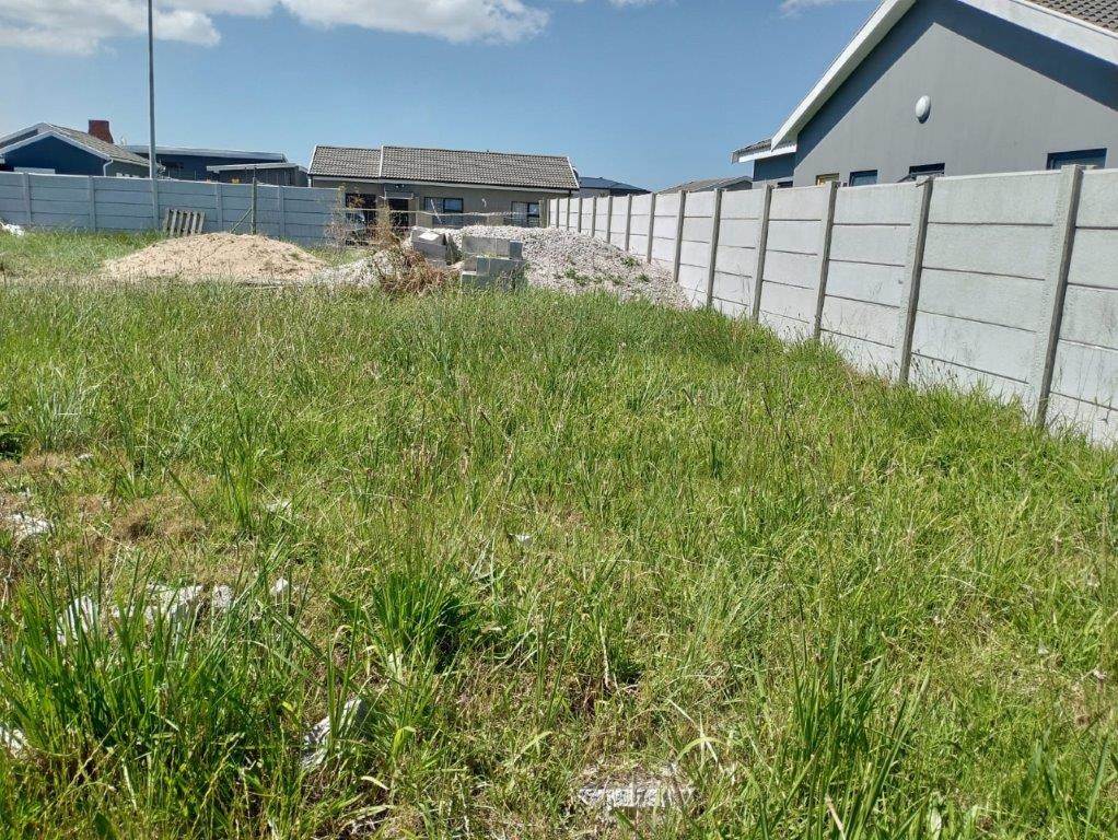 427 m² Land available in Fairview photo number 1