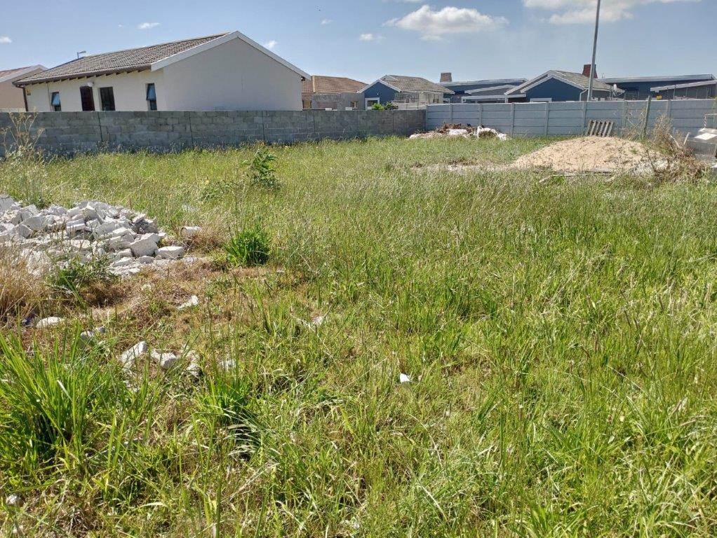 427 m² Land available in Fairview photo number 7