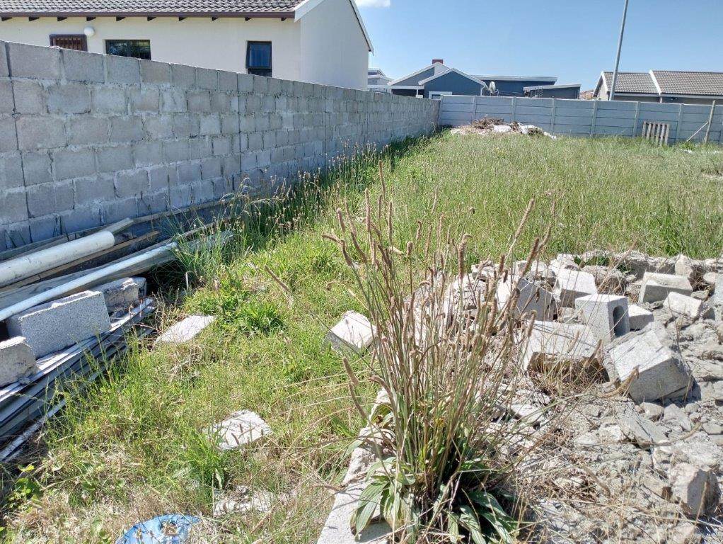 427 m² Land available in Fairview photo number 4