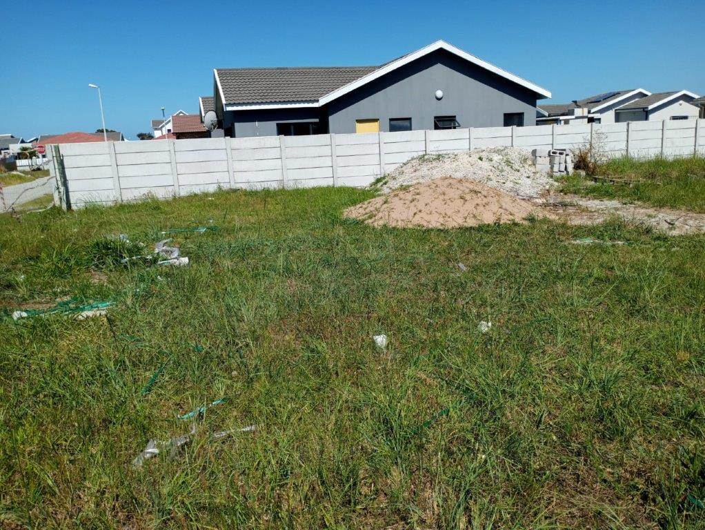 427 m² Land available in Fairview photo number 5