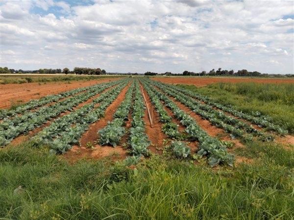 61 ha Farm 61 ha Farm