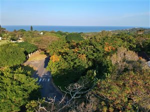 1100 m² Land available in Pennington