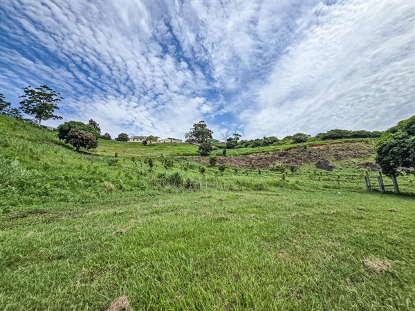 5.5 ha Smallholding