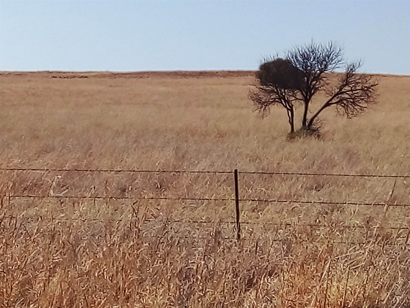 376 m² Land available in Winburg photo number 9