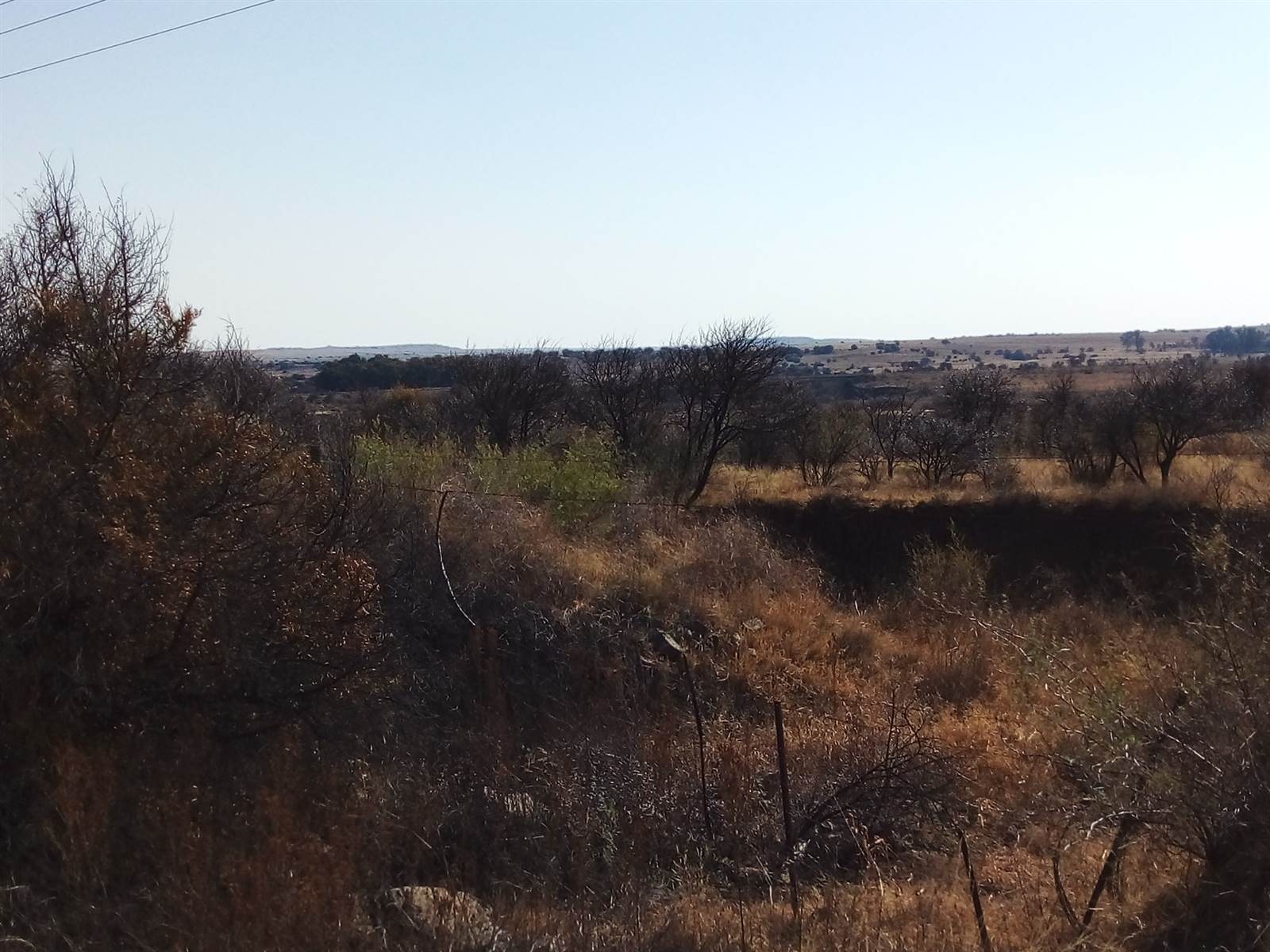 376 m² Land available in Winburg photo number 8