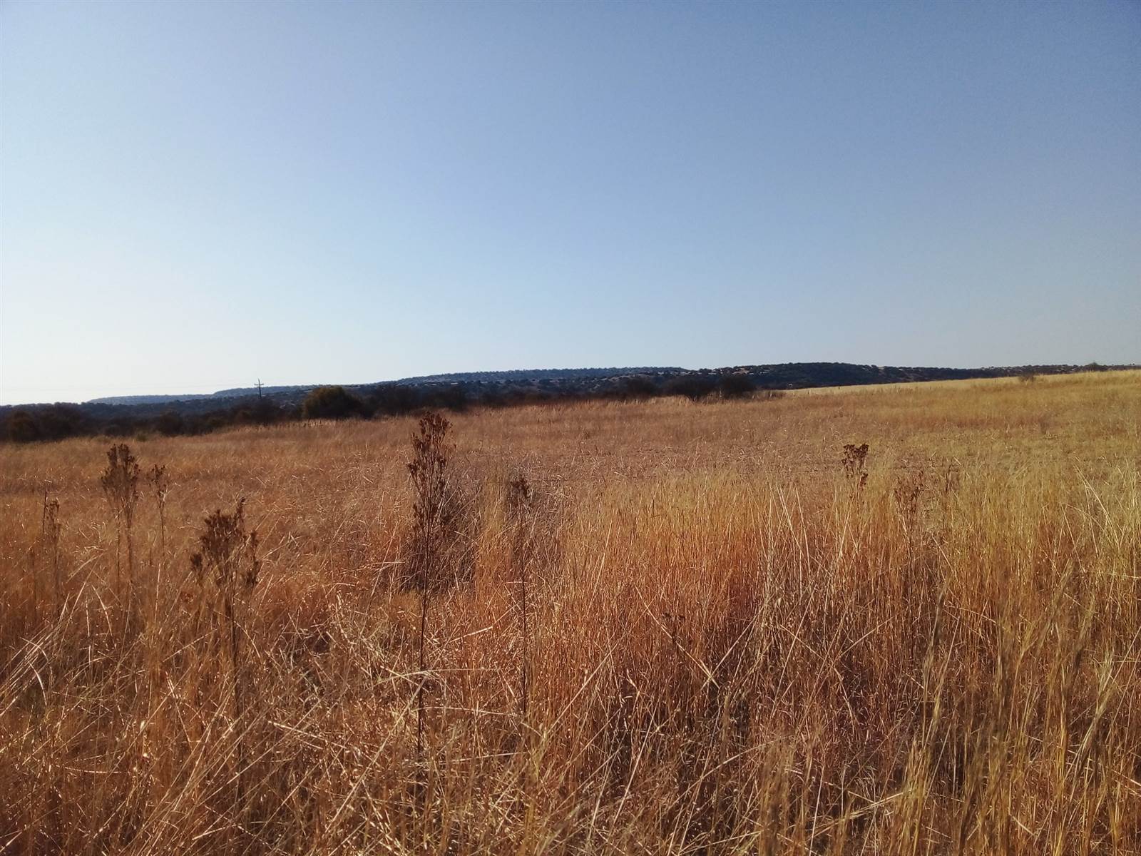 376 m² Land available in Winburg photo number 20