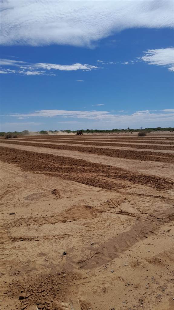 17.2 ha Land available in Carnarvon photo number 5