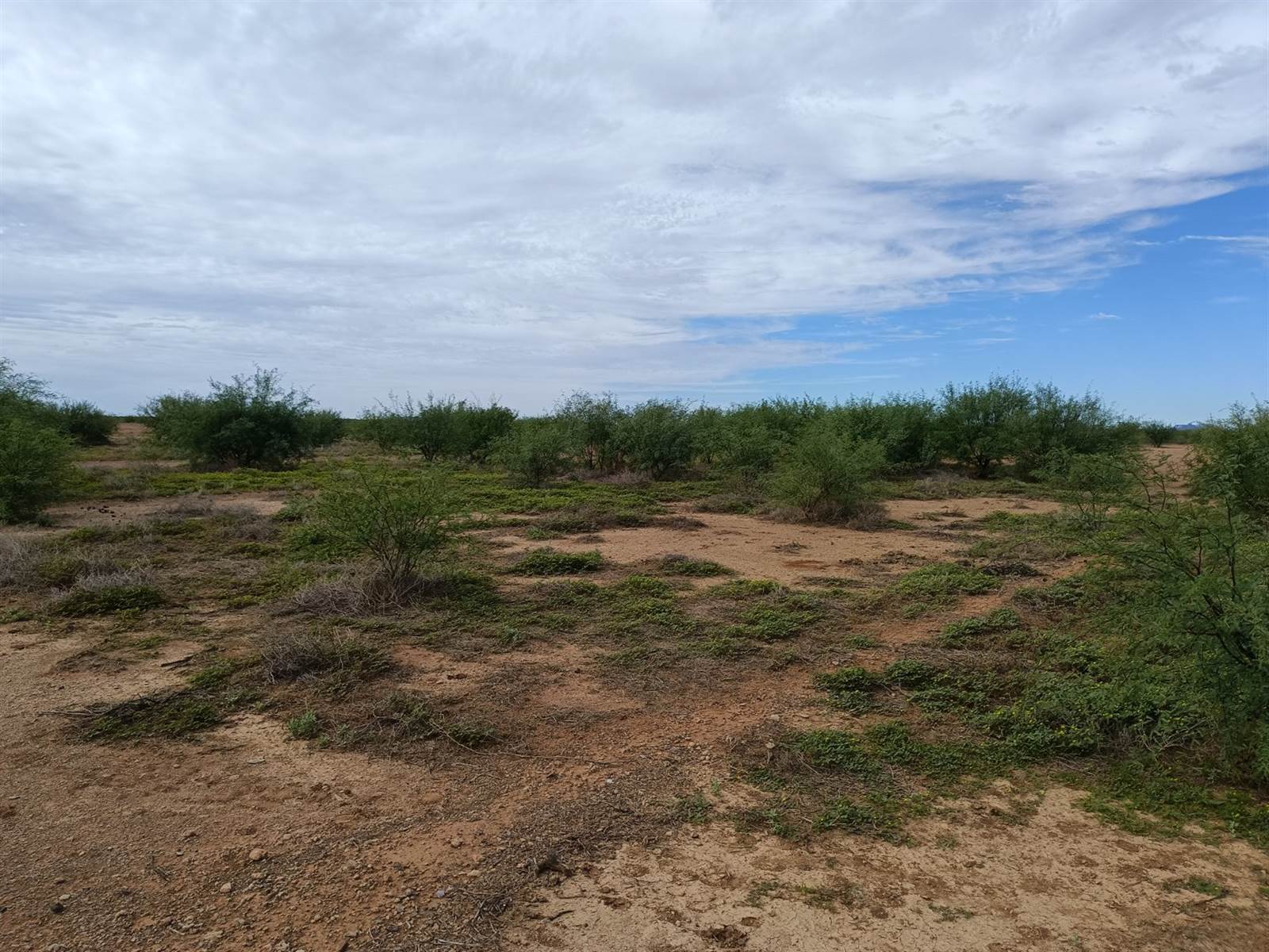 17.2 ha Land available in Carnarvon photo number 15