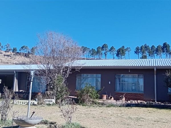 3 Bedroom House 3 Bedroom House