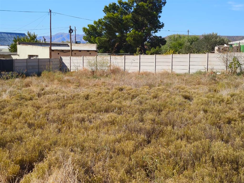 536 m² Land available in Ladismith photo number 2