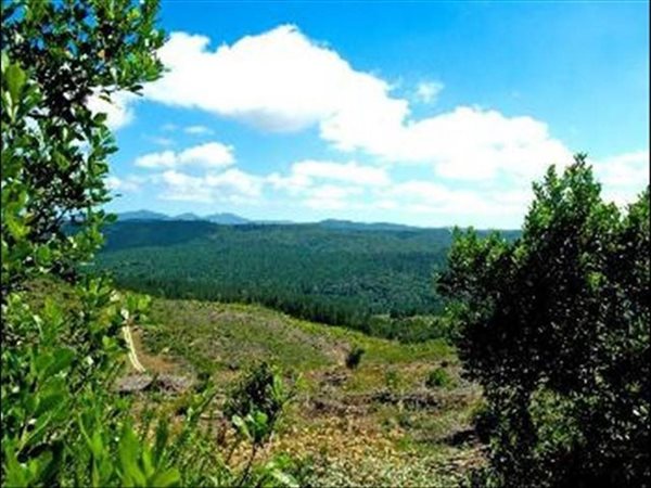 4105 m² Land available in Pezula Private Estate